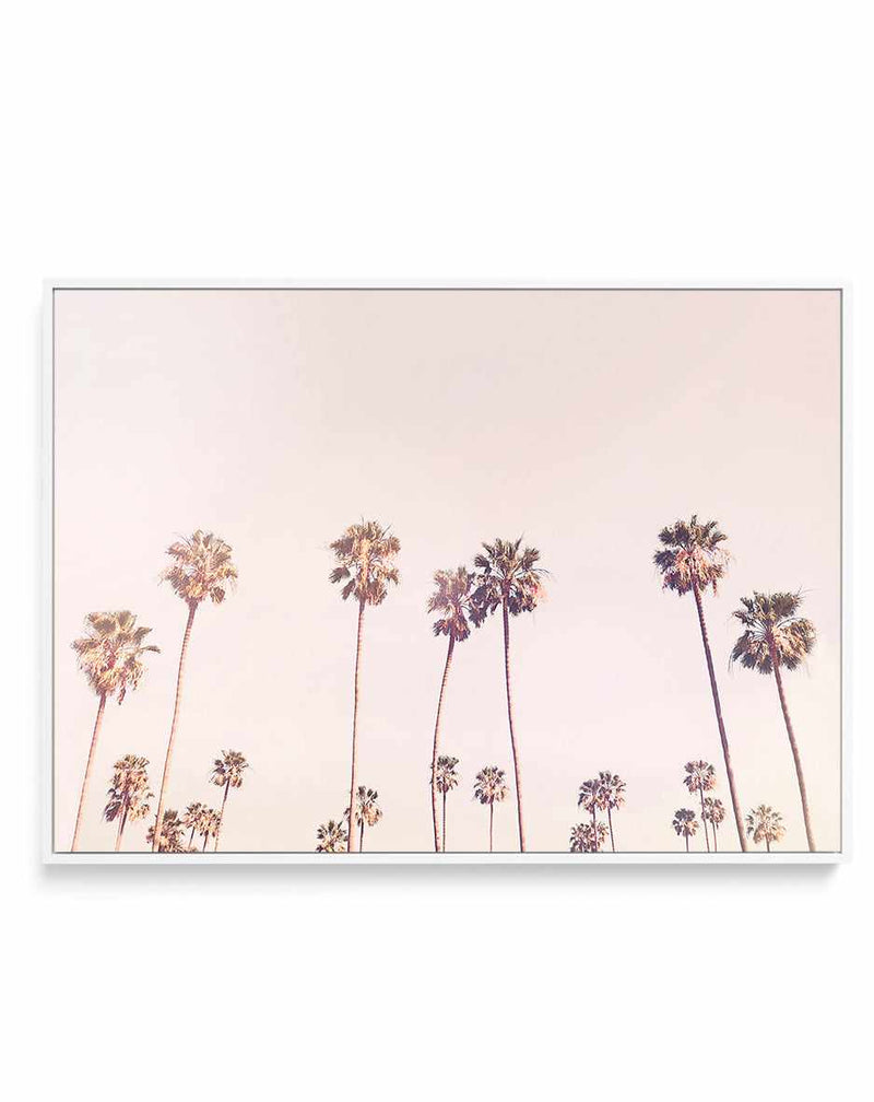 Sunny Cali Palm Trees By Kathrin Pienaar | Framed Canvas Art Print