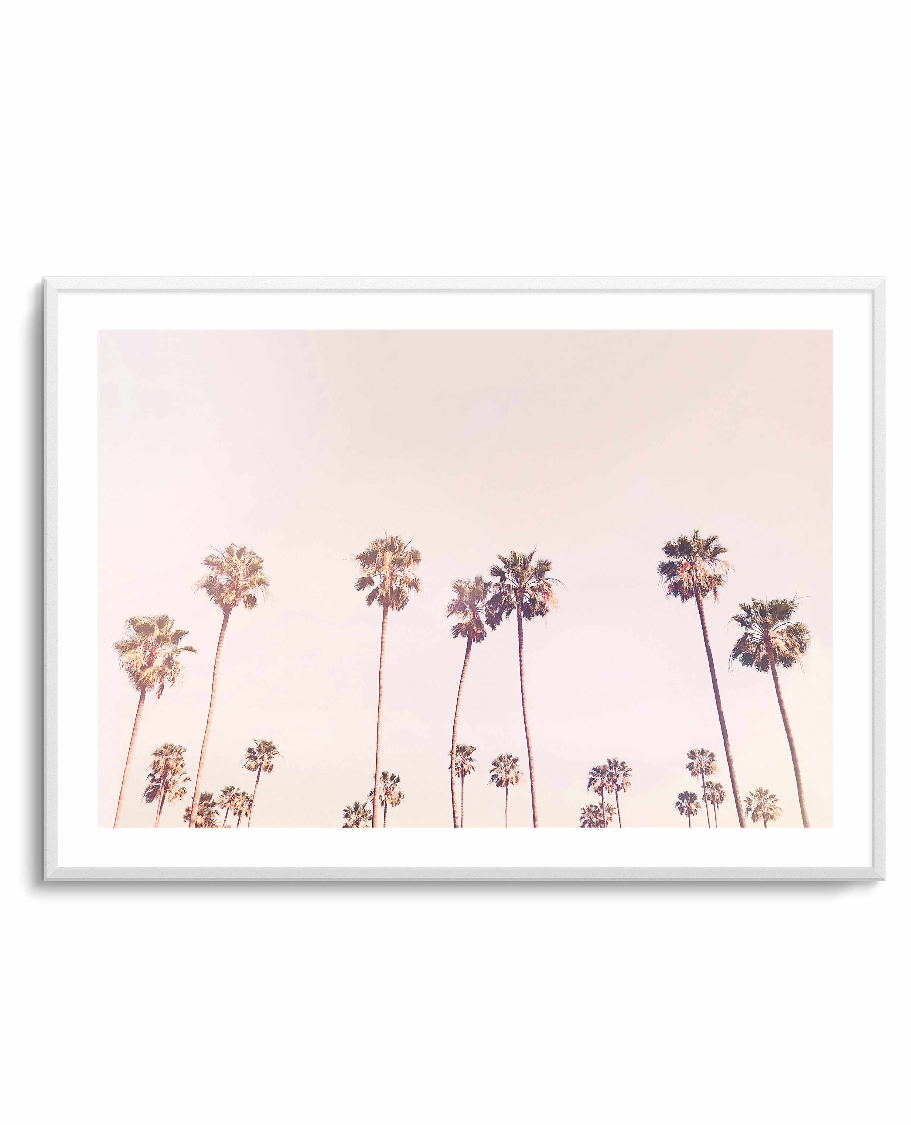 Sunny Cali Palm Trees By Kathrin Pienaar | Art Print