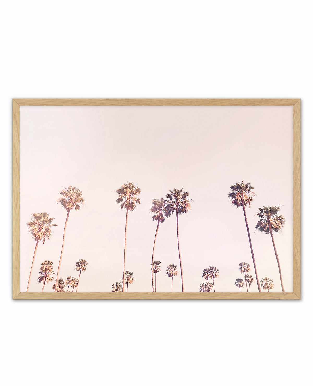 Sunny Cali Palm Trees By Kathrin Pienaar | Art Print