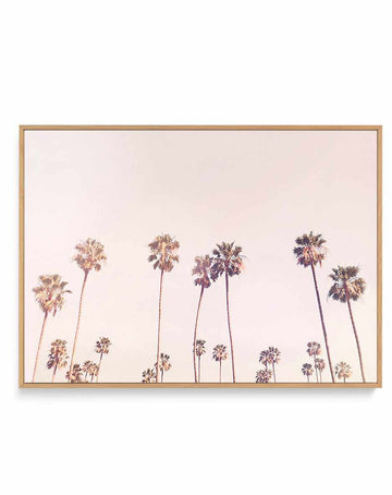 Sunny Cali Palm Trees By Kathrin Pienaar | Framed Canvas Art Print from Olive et Oriel where you can shop wallpaper and artworks online