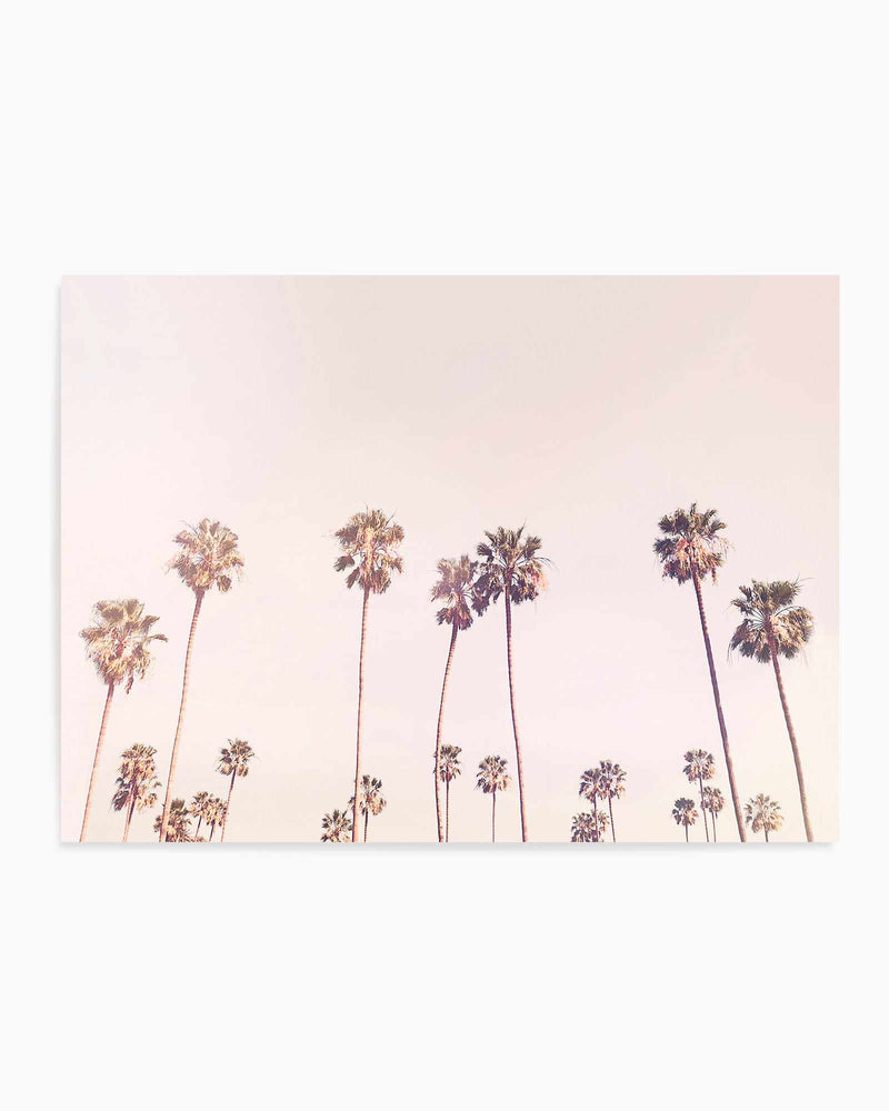 Sunny Cali Palm Trees By Kathrin Pienaar | Art Print