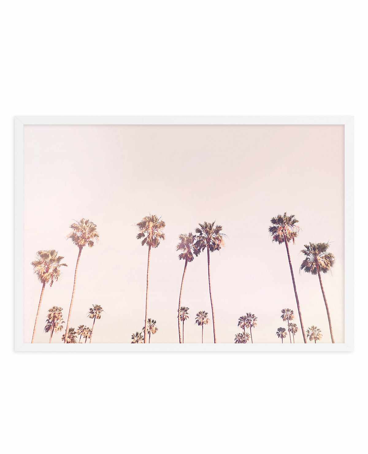 Sunny Cali Palm Trees By Kathrin Pienaar | Art Print