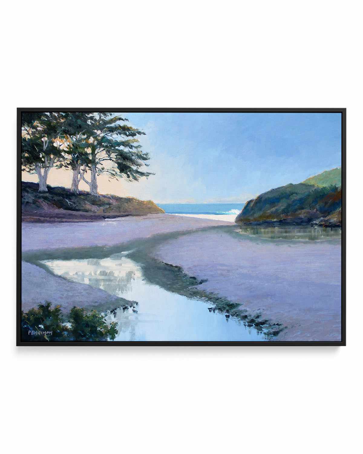 Sunny Cove by Ed Penniman | Framed Canvas Art Print