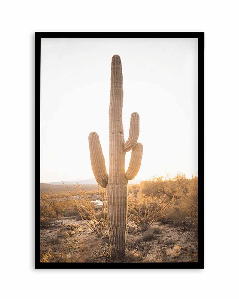 Sunset Cactus Art Print