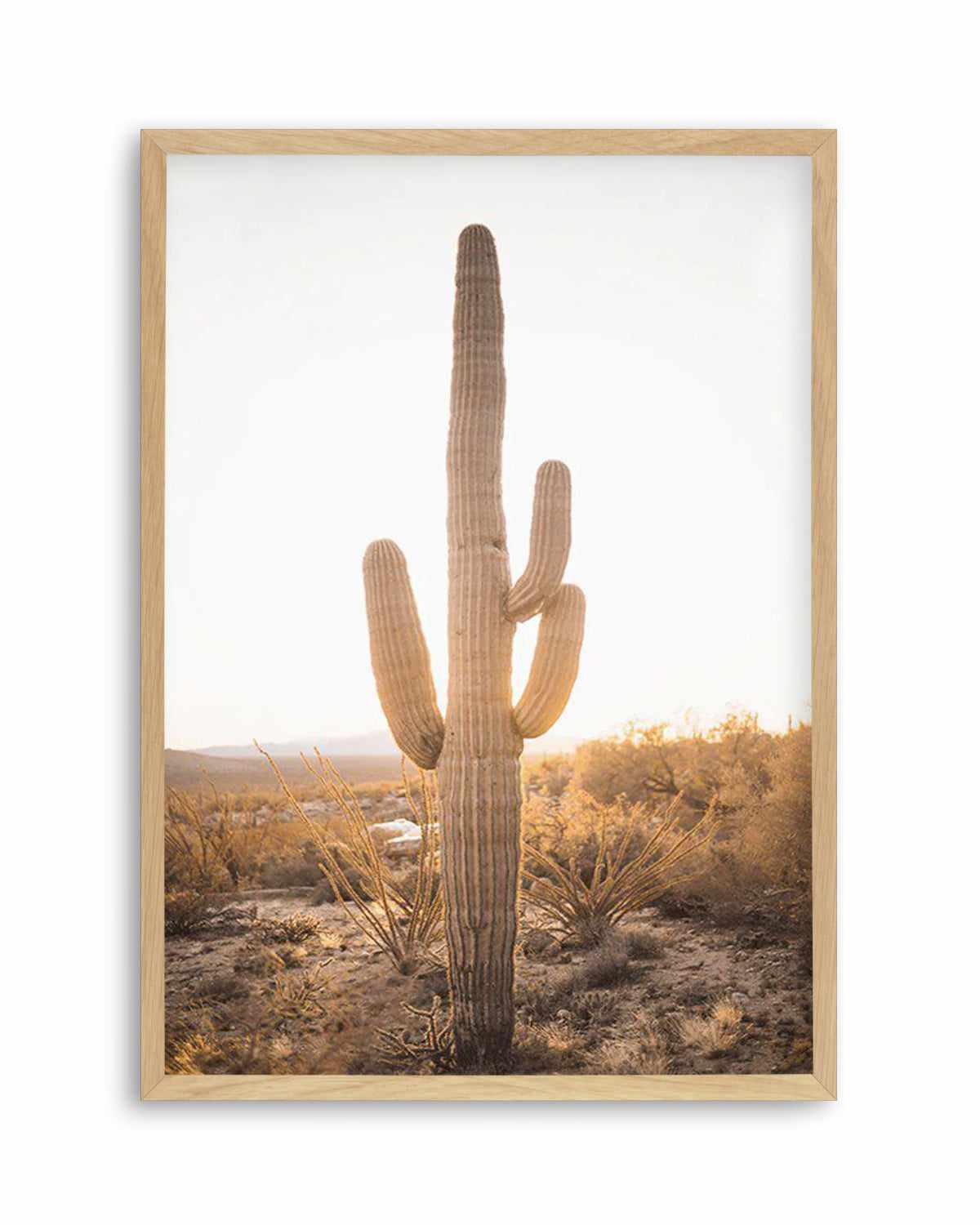 Sunset Cactus Art Print