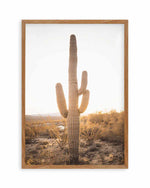 Sunset Cactus Art Print