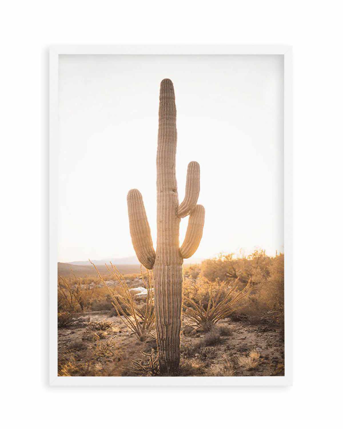 Sunset Cactus Art Print