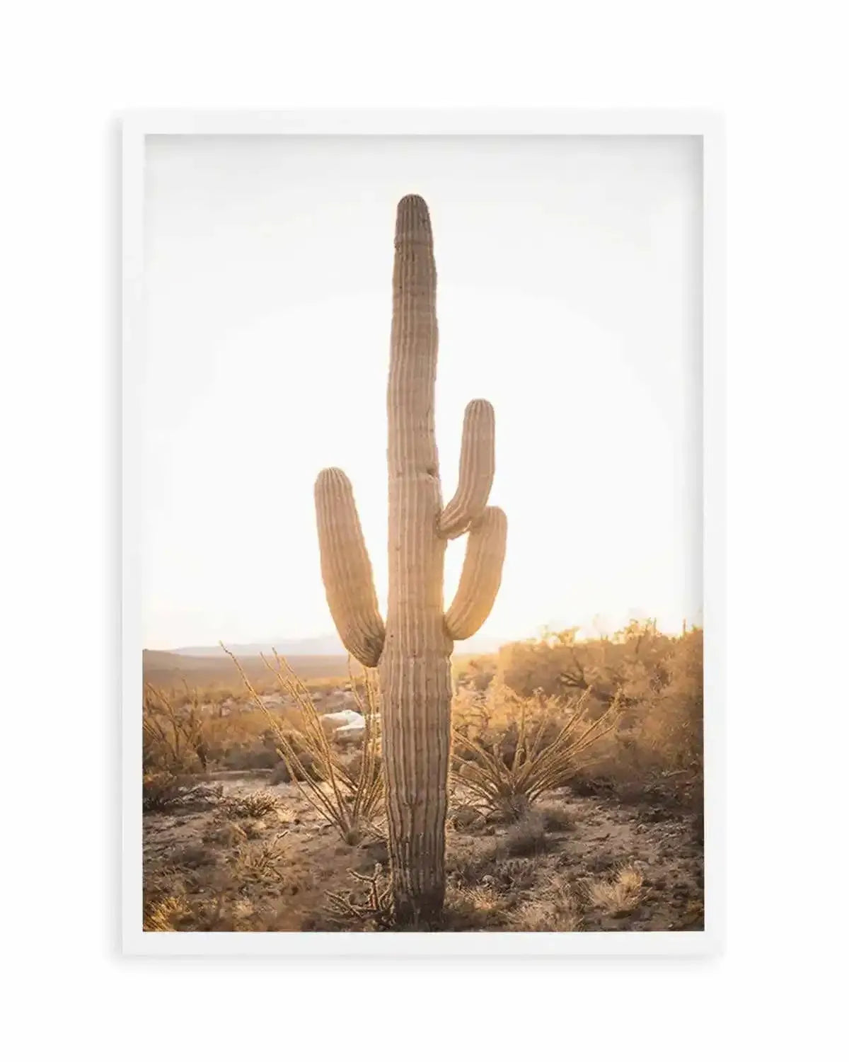Sunset Cactus Art Print from Olive et Oriel where you can shop wallpaper and artworks online