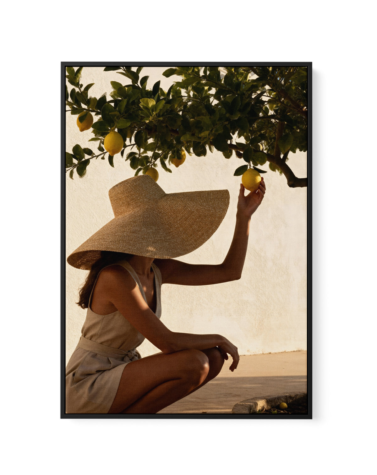 Sunset Lemons | Framed Canvas Art Print from Olive et Oriel where you can shop wallpaper and artworks online