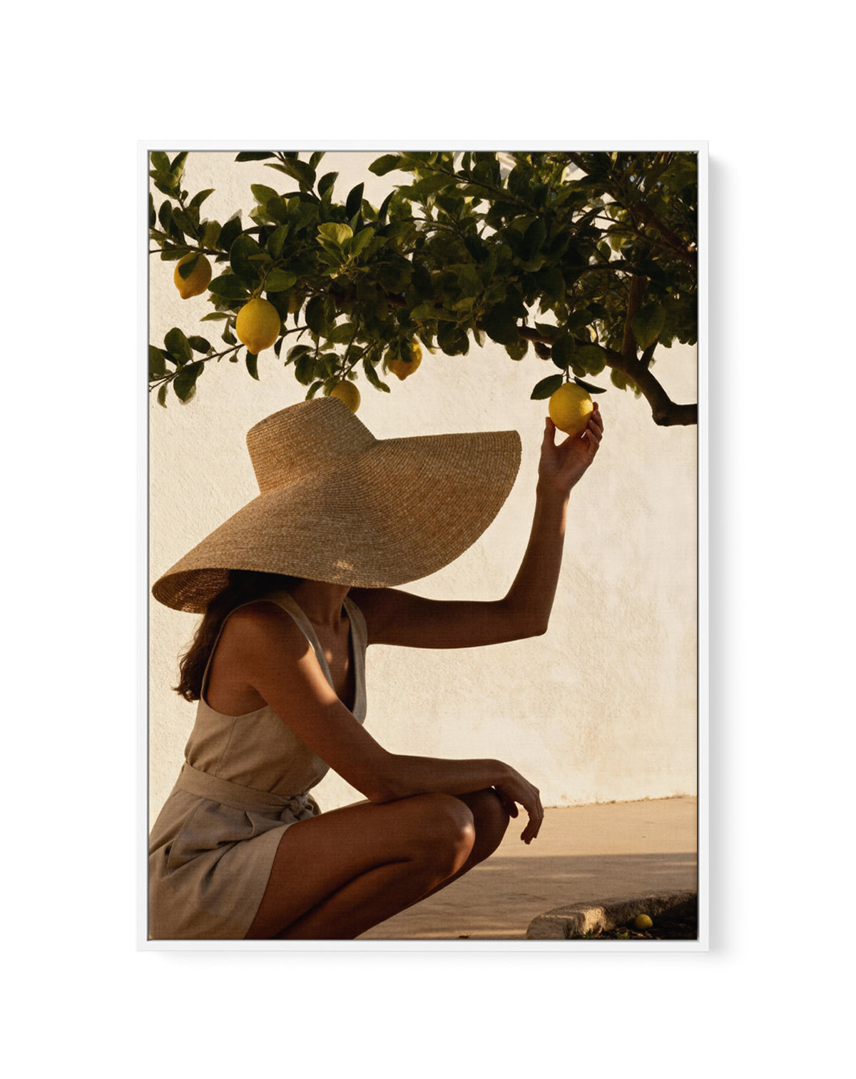 Sunset Lemons | Framed Canvas Art Print from Olive et Oriel where you can shop wallpaper and artworks online