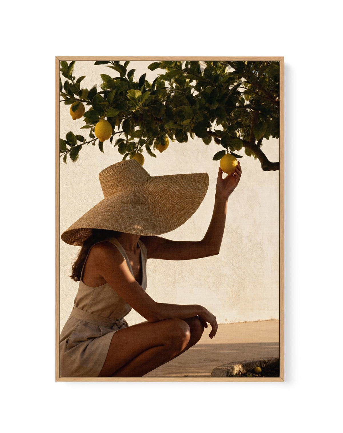 Sunset Lemons | Framed Canvas Art Print from Olive et Oriel where you can shop wallpaper and artworks online
