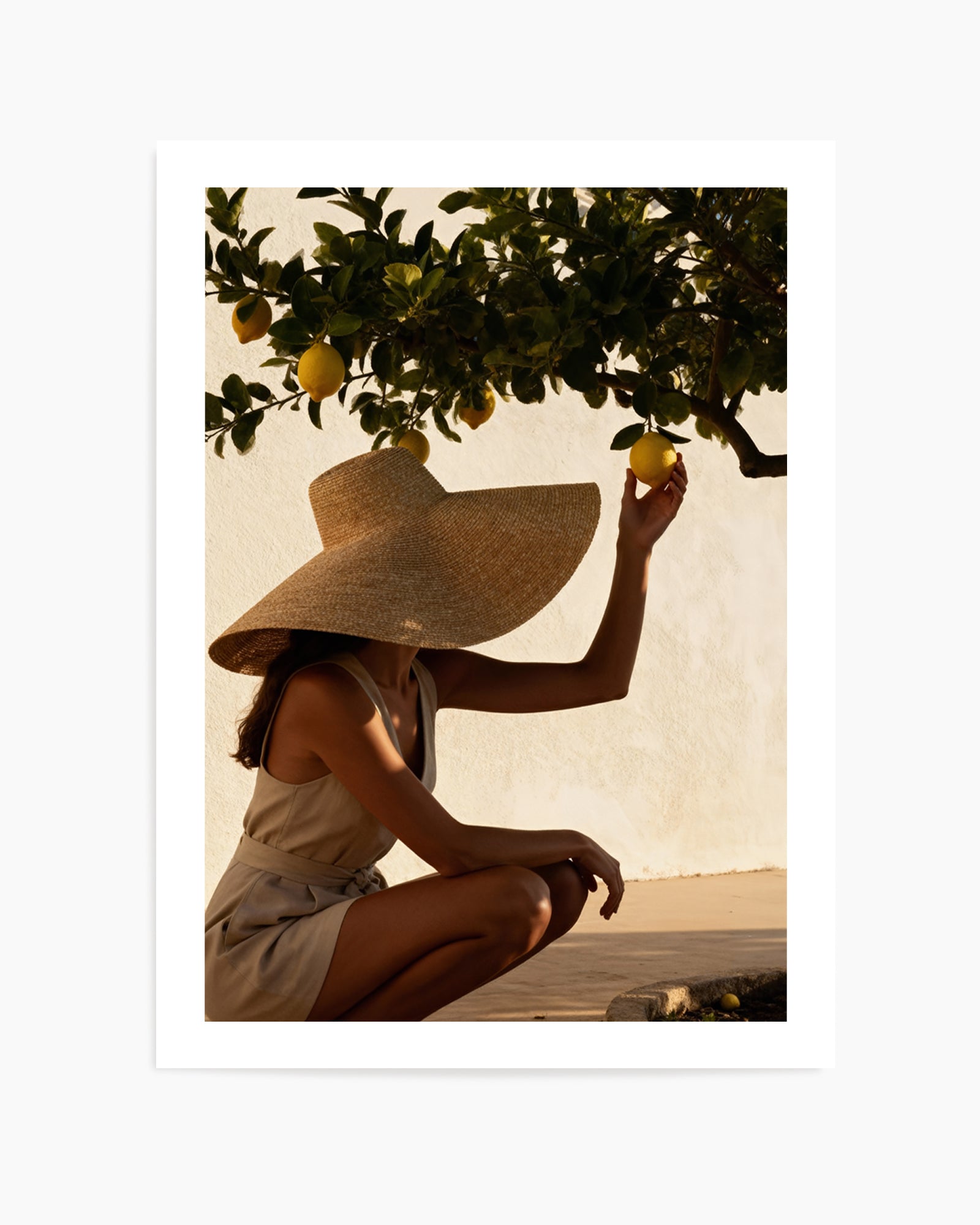 Sunset Lemons | Art Print from Olive et Oriel where you can shop wallpaper and artworks online