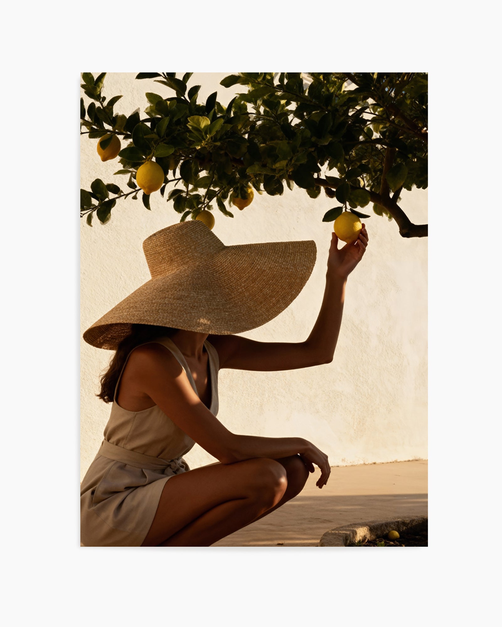 Sunset Lemons | Art Print from Olive et Oriel where you can shop wallpaper and artworks online