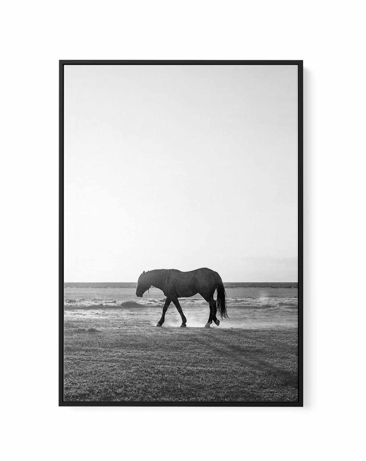 Sunset Stang by Rylee Olsen | Framed Canvas Art Print from Olive et Oriel where you can shop wallpaper and artworks online