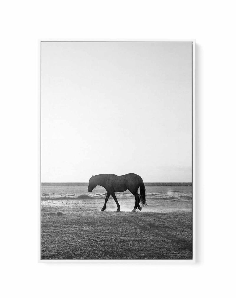 Sunset Stang by Rylee Olsen | Framed Canvas Art Print from Olive et Oriel where you can shop wallpaper and artworks online
