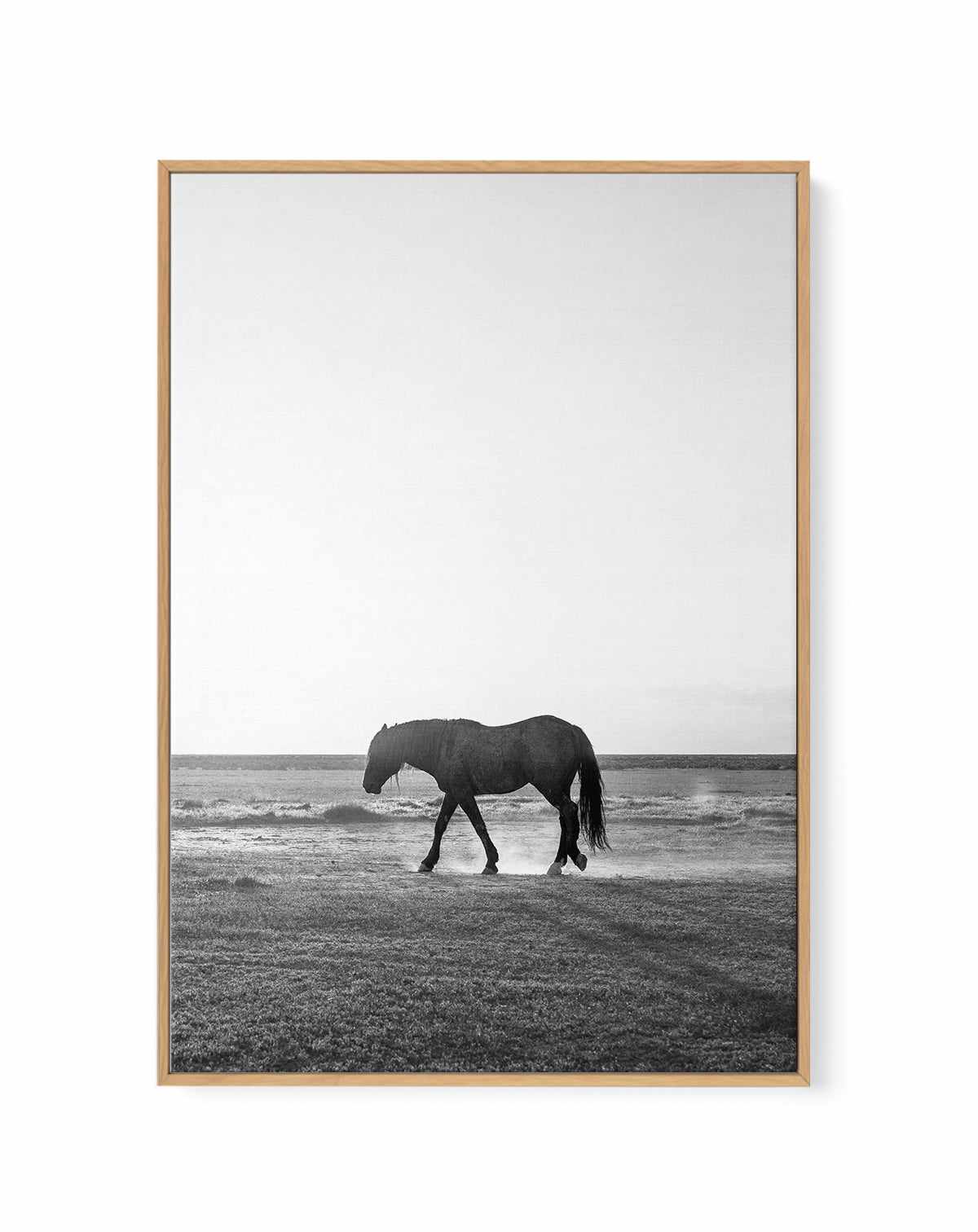 Sunset Stang by Rylee Olsen | Framed Canvas Art Print from Olive et Oriel where you can shop wallpaper and artworks online