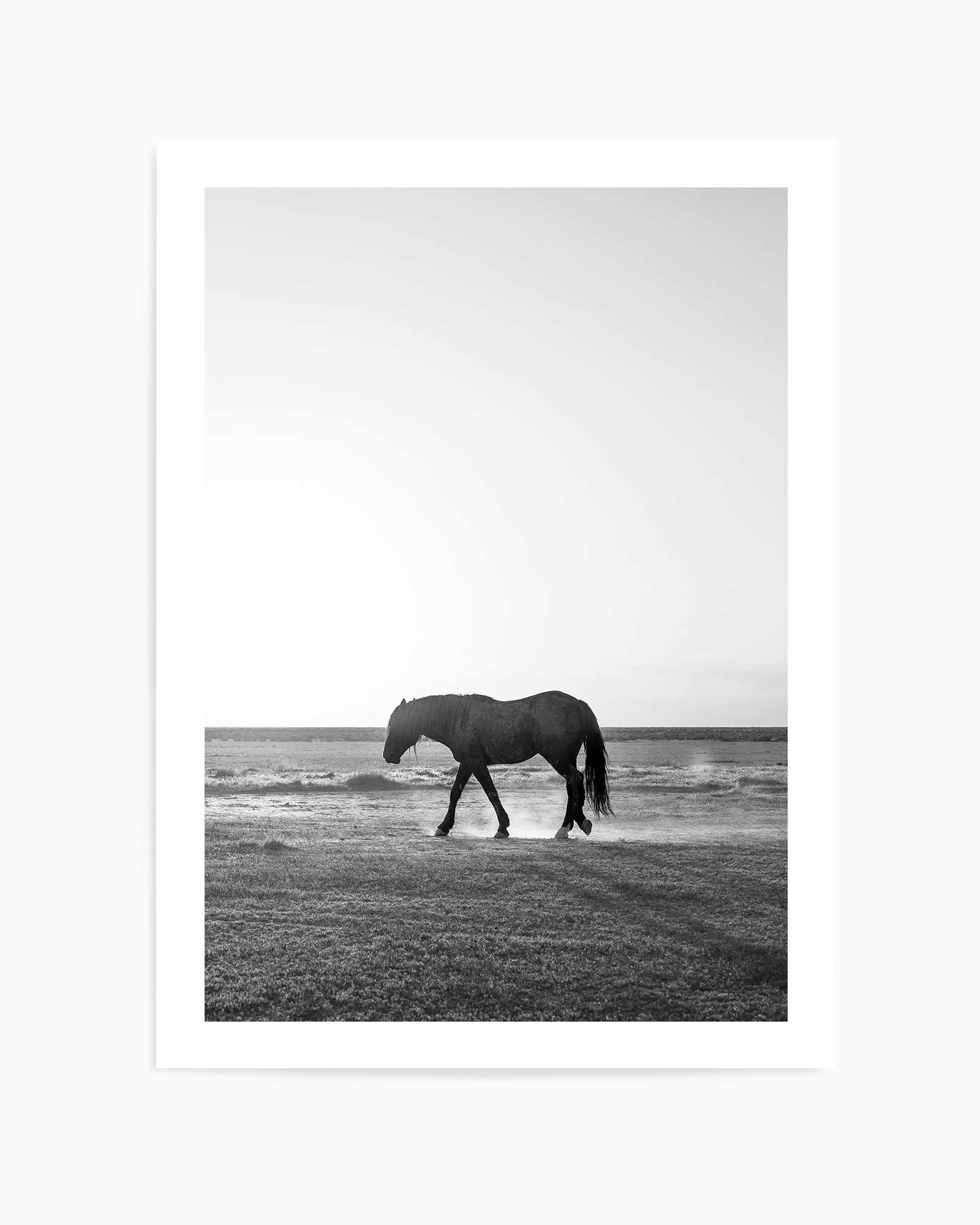 Sunset Stang by Rylee Olsen | Art Print from Olive et Oriel where you can shop wallpaper and artworks online