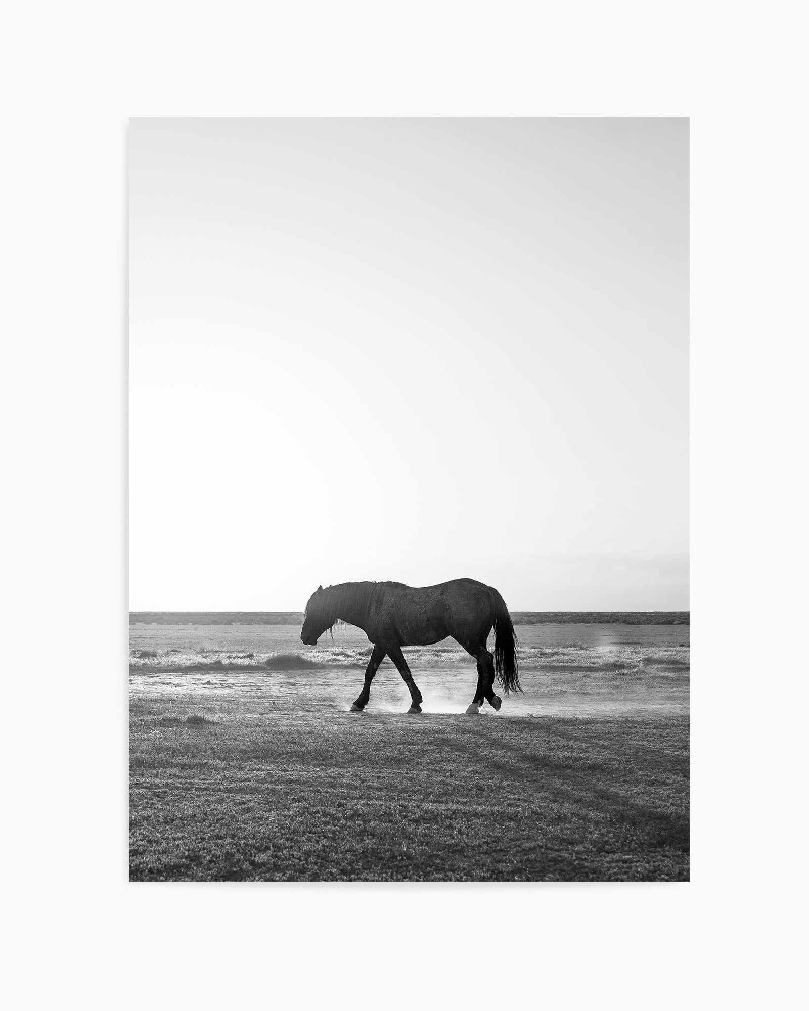 Sunset Stang by Rylee Olsen | Art Print from Olive et Oriel where you can shop wallpaper and artworks online