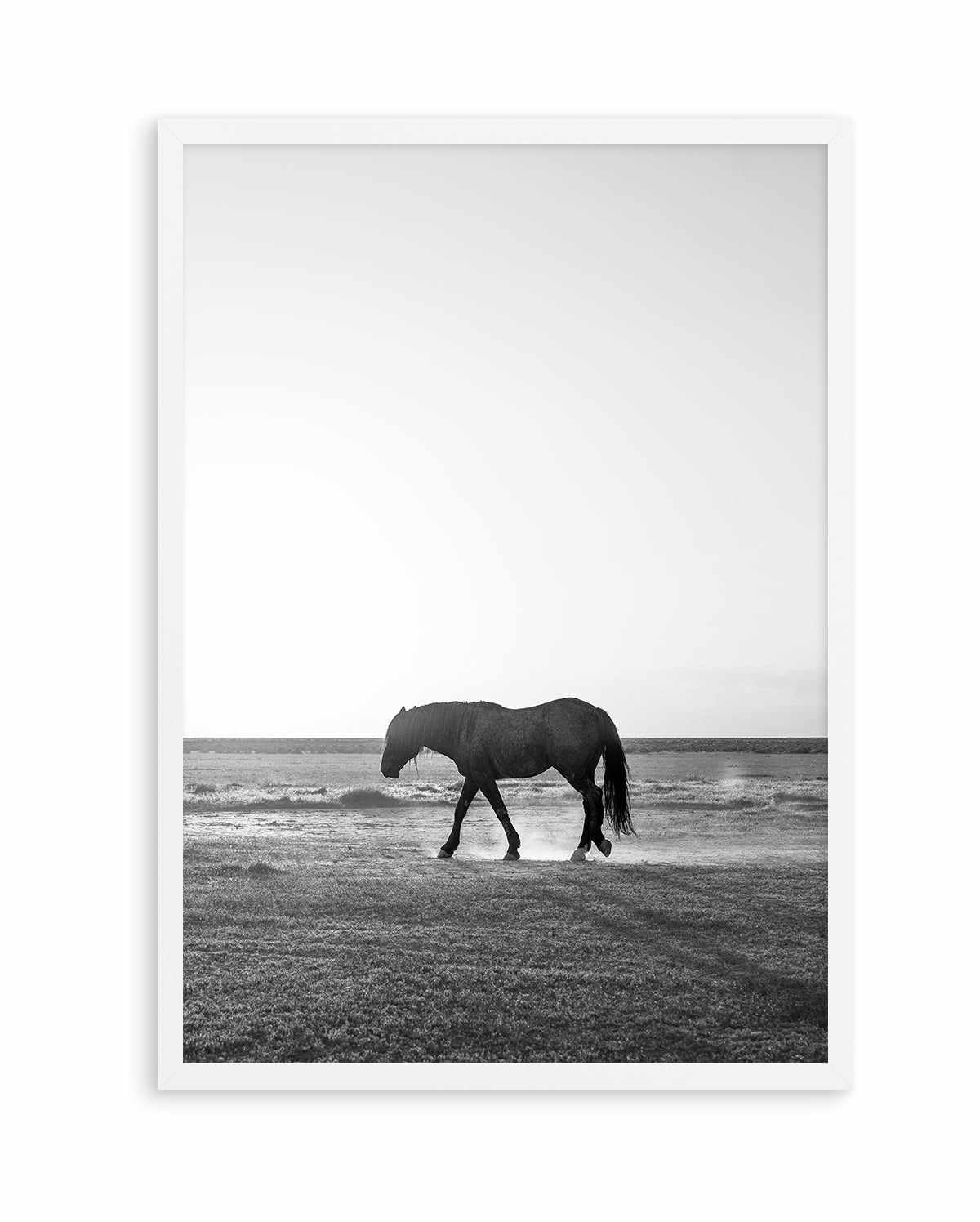 Sunset Stang by Rylee Olsen | Art Print from Olive et Oriel where you can shop wallpaper and artworks online