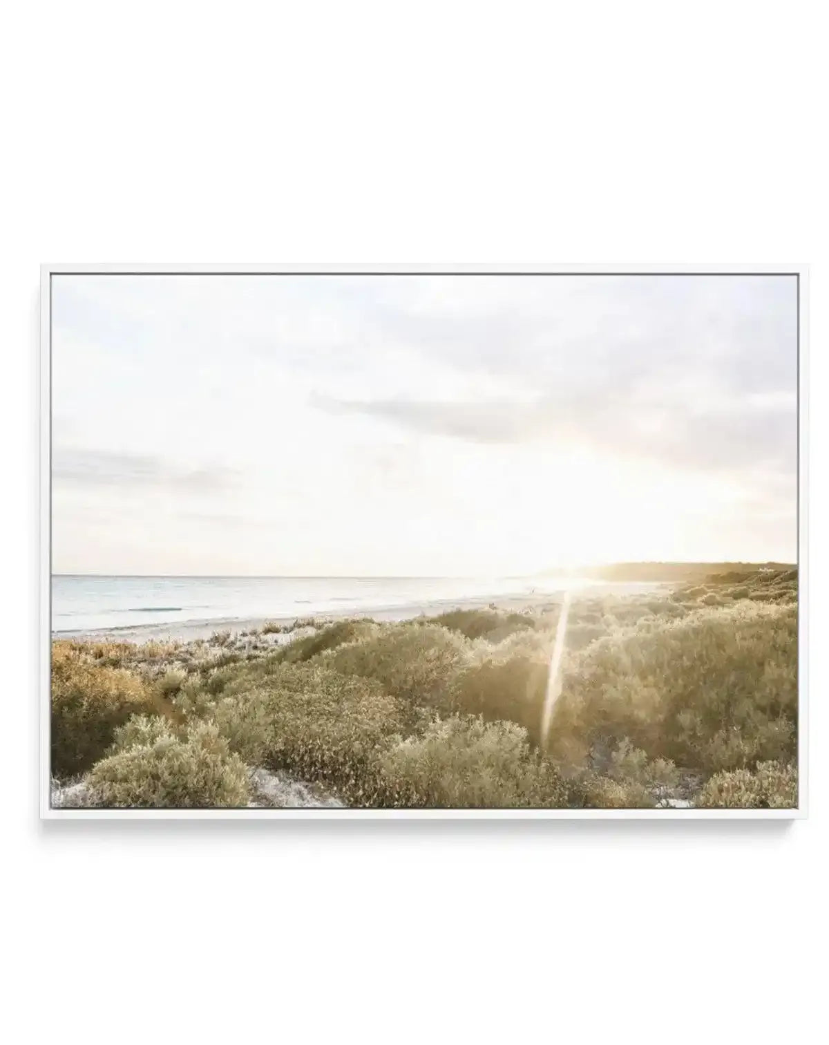 Sunsets at Bunker Bay | Framed Canvas-CANVAS-You can shop wall art online with Olive et Oriel for everything from abstract art to fun kids wall art. Our beautiful modern art prints and canvas art are available from large canvas prints to wall art paintings and our proudly Australian artwork collection offers only the highest quality framed large wall art and canvas art Australia - You can buy fashion photography prints or Hampton print posters and paintings on canvas from Olive et Oriel and have