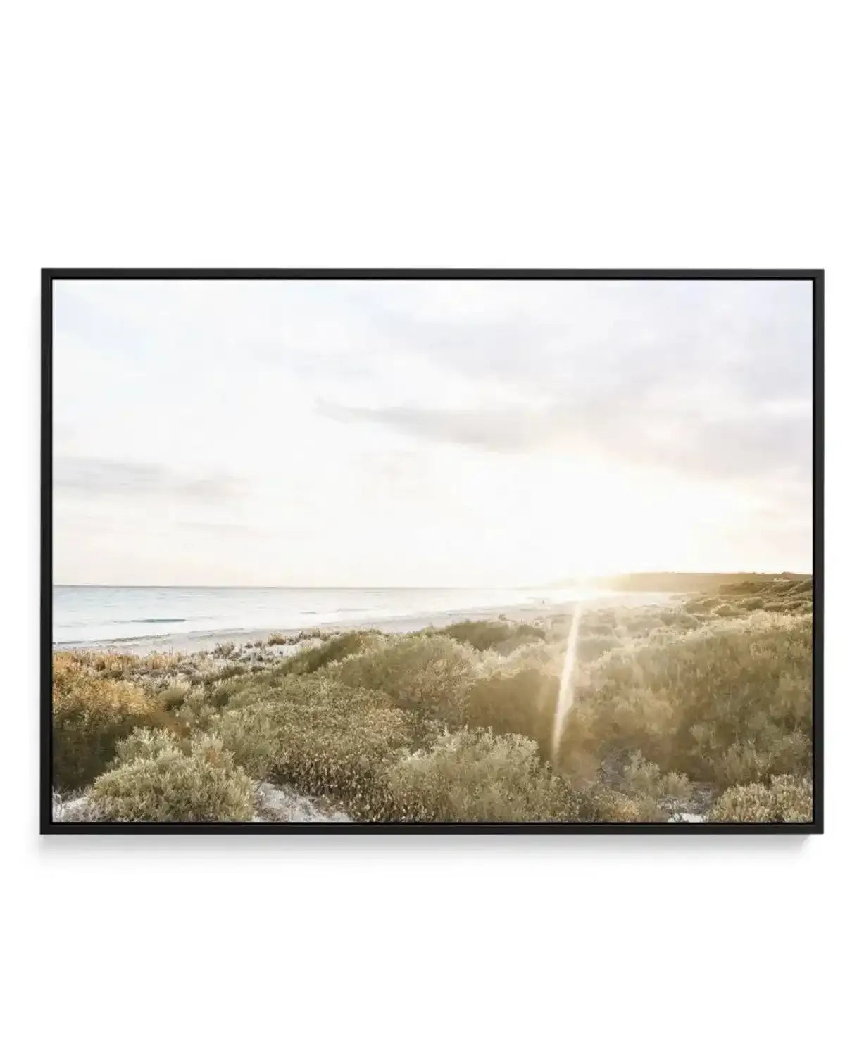 Sunsets at Bunker Bay | Framed Canvas-CANVAS-You can shop wall art online with Olive et Oriel for everything from abstract art to fun kids wall art. Our beautiful modern art prints and canvas art are available from large canvas prints to wall art paintings and our proudly Australian artwork collection offers only the highest quality framed large wall art and canvas art Australia - You can buy fashion photography prints or Hampton print posters and paintings on canvas from Olive et Oriel and have