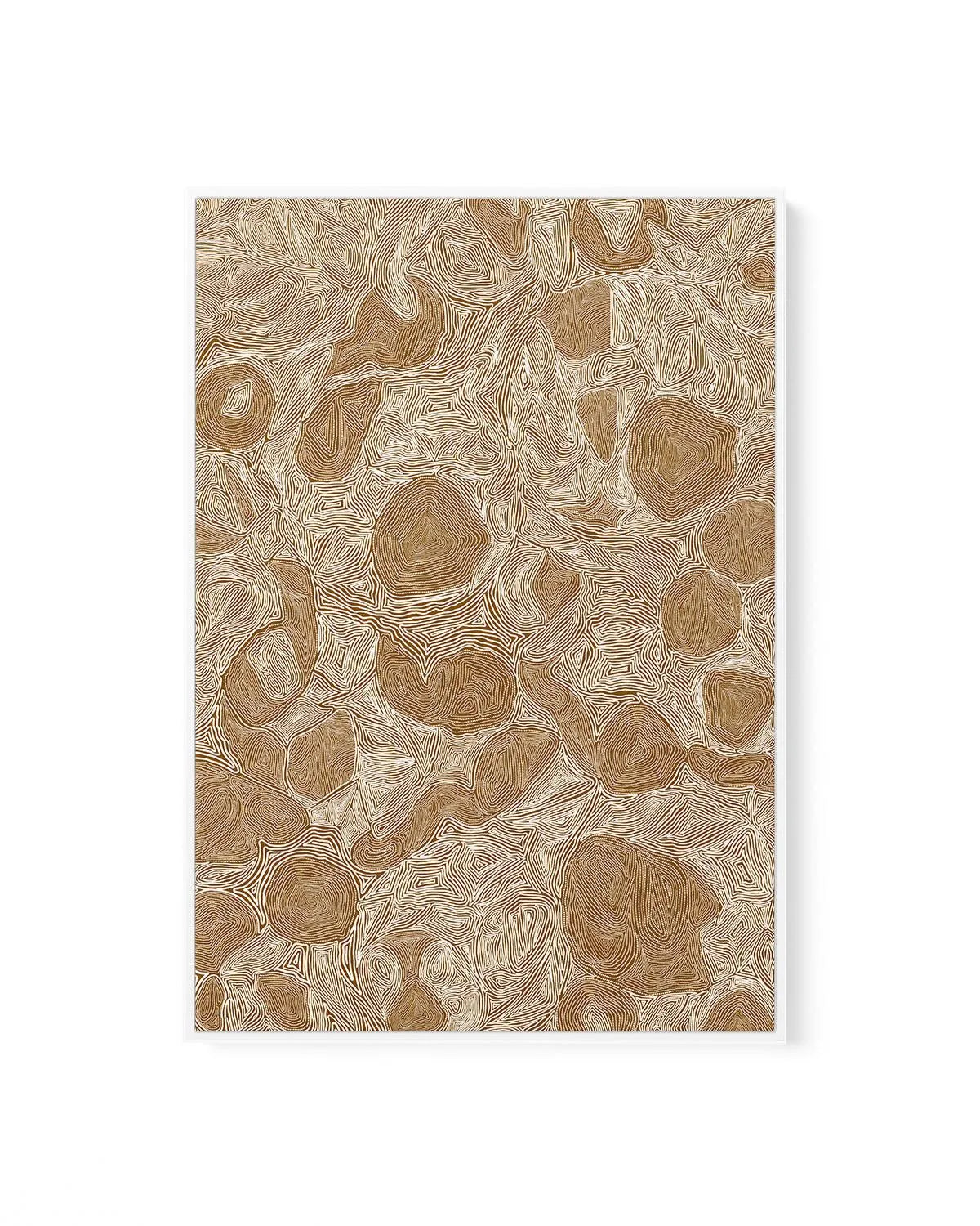 Systems | Brown Ochre by Leah Cummins | Framed Canvas Art Print from Olive et Oriel where you can shop wallpaper and artworks online