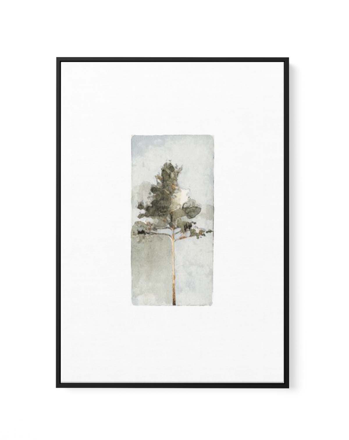 THE PINE ll By Jorgen Hansson | Framed Canvas Art Print