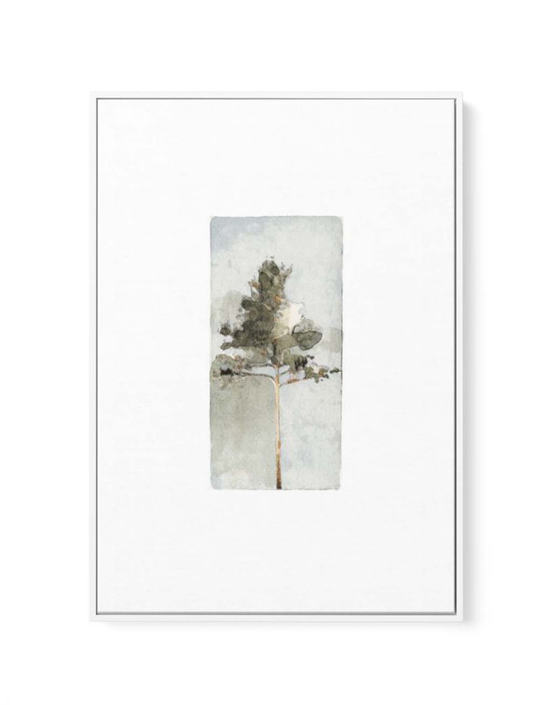 THE PINE ll By Jorgen Hansson | Framed Canvas Art Print