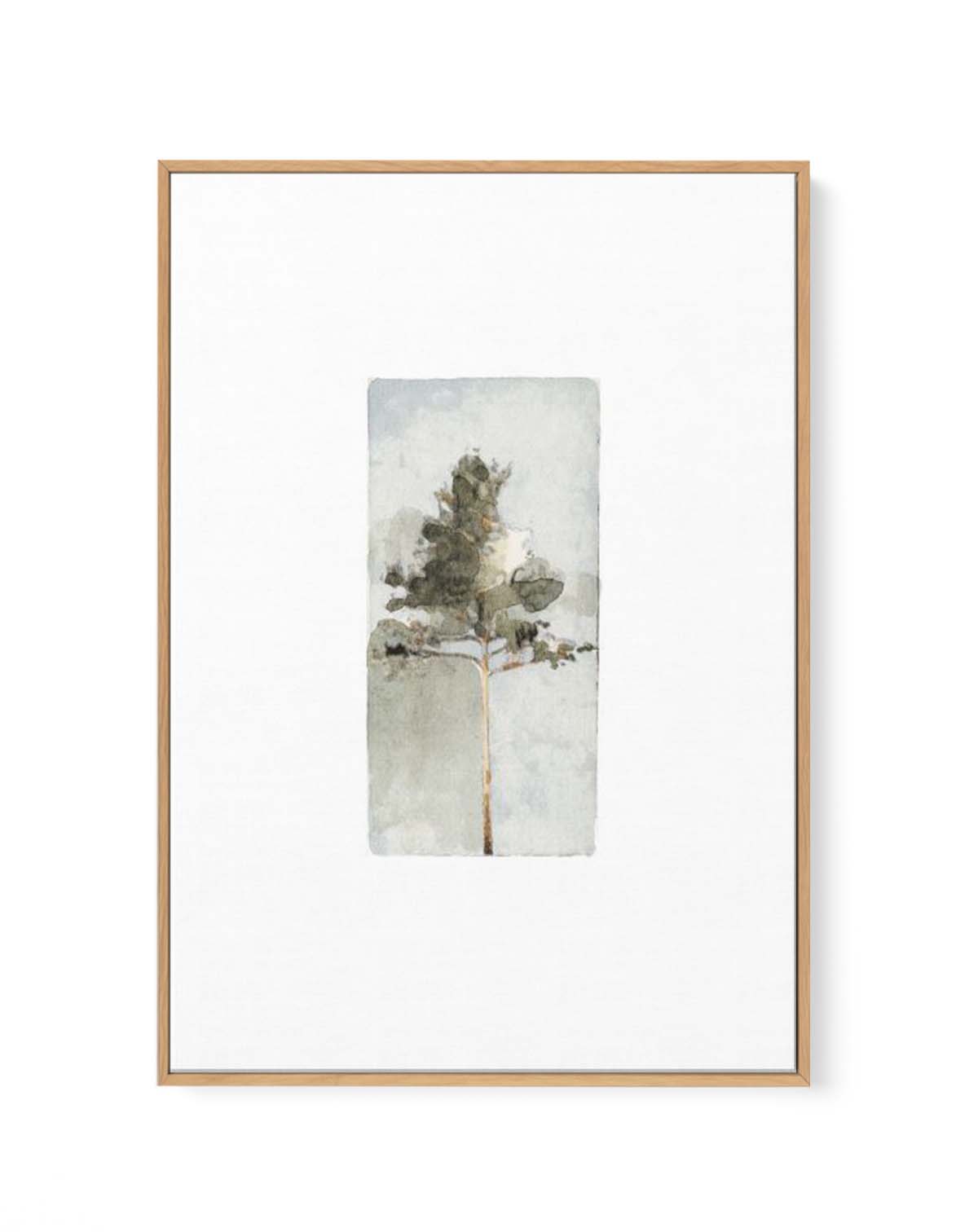 THE PINE ll By Jorgen Hansson | Framed Canvas Art Print