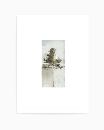 THE PINE ll By Jorgen Hansson | Art Print from Olive et Oriel where you can shop wallpaper and artworks online