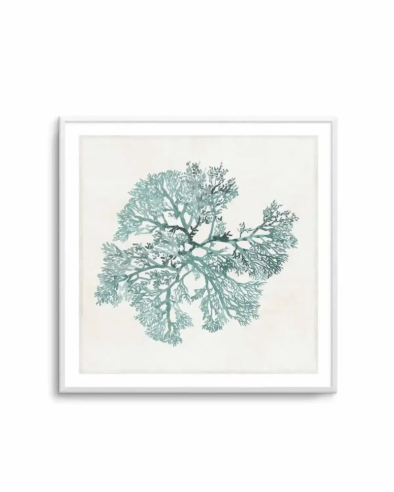 Teal Coral II Art Print from Olive et Oriel where you can shop wallpaper and artworks online