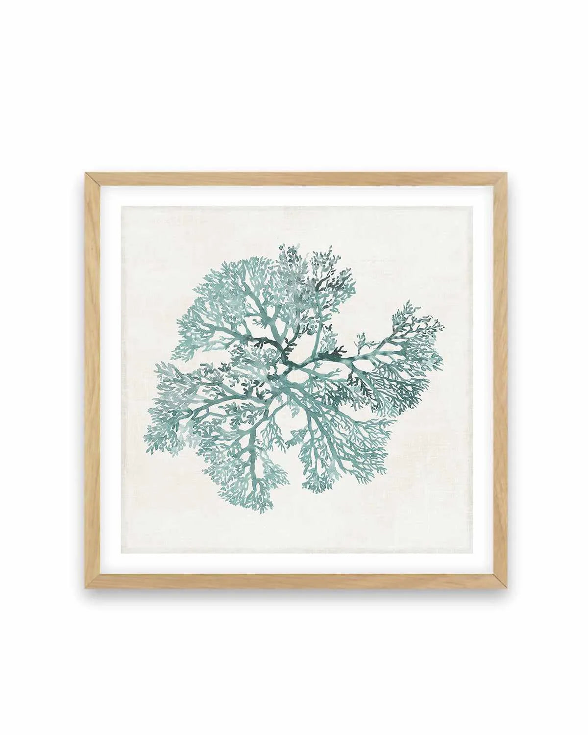 Teal Coral II Art Print from Olive et Oriel where you can shop wallpaper and artworks online