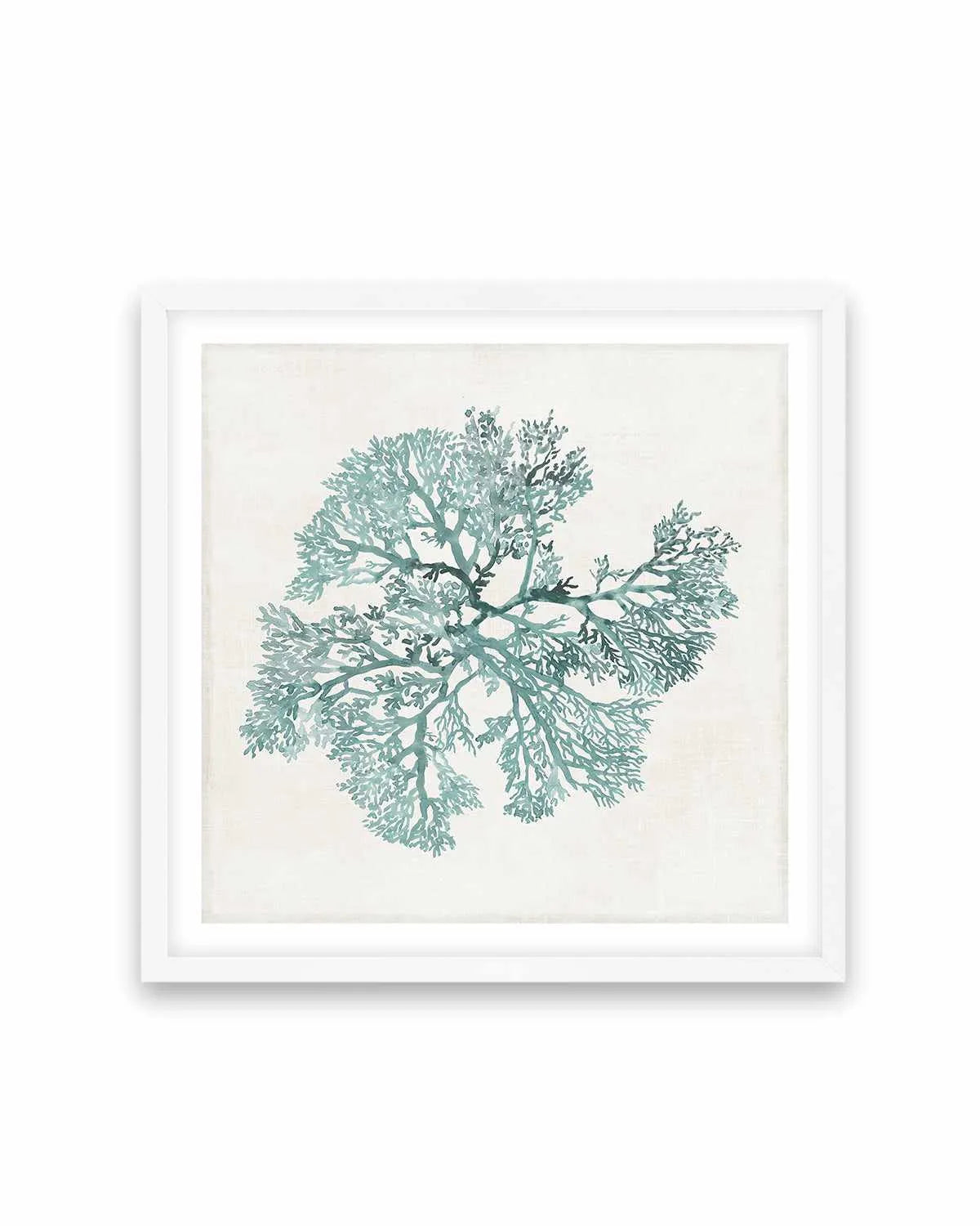 Teal Coral II Art Print from Olive et Oriel where you can shop wallpaper and artworks online
