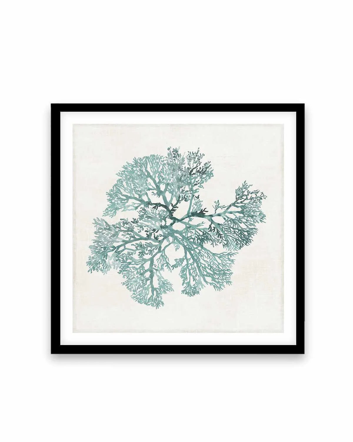 Teal Coral II Art Print from Olive et Oriel where you can shop wallpaper and artworks online