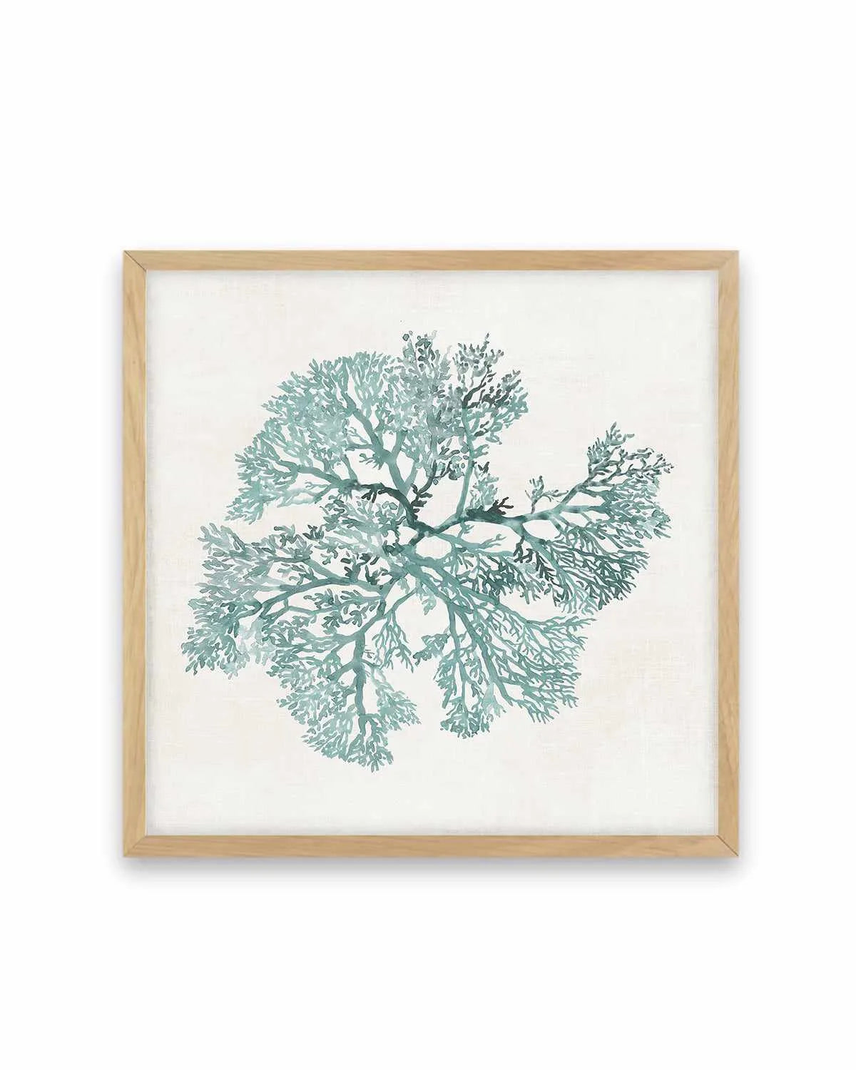 Teal Coral II Art Print from Olive et Oriel where you can shop wallpaper and artworks online