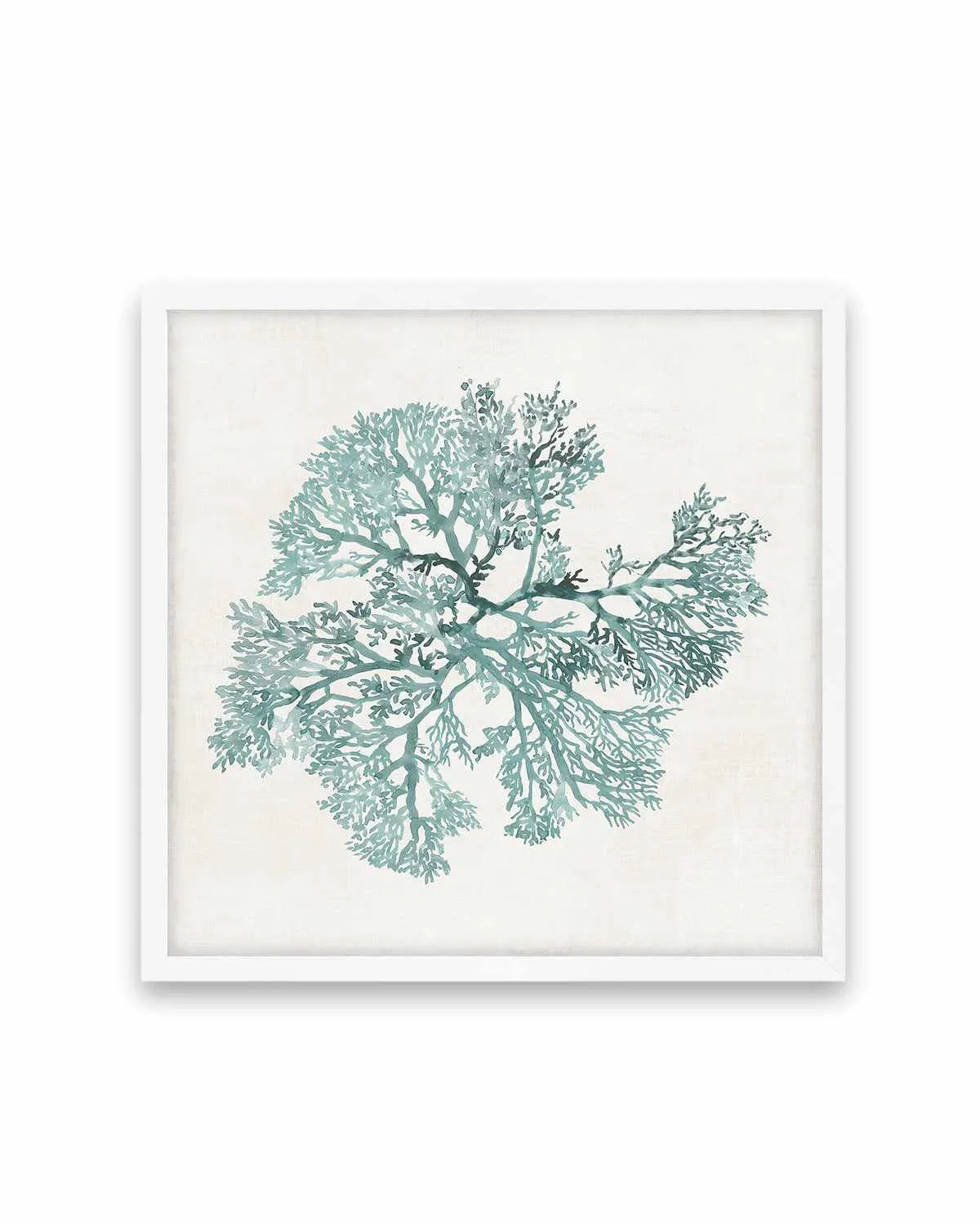 Teal Coral II Art Print from Olive et Oriel where you can shop wallpaper and artworks online