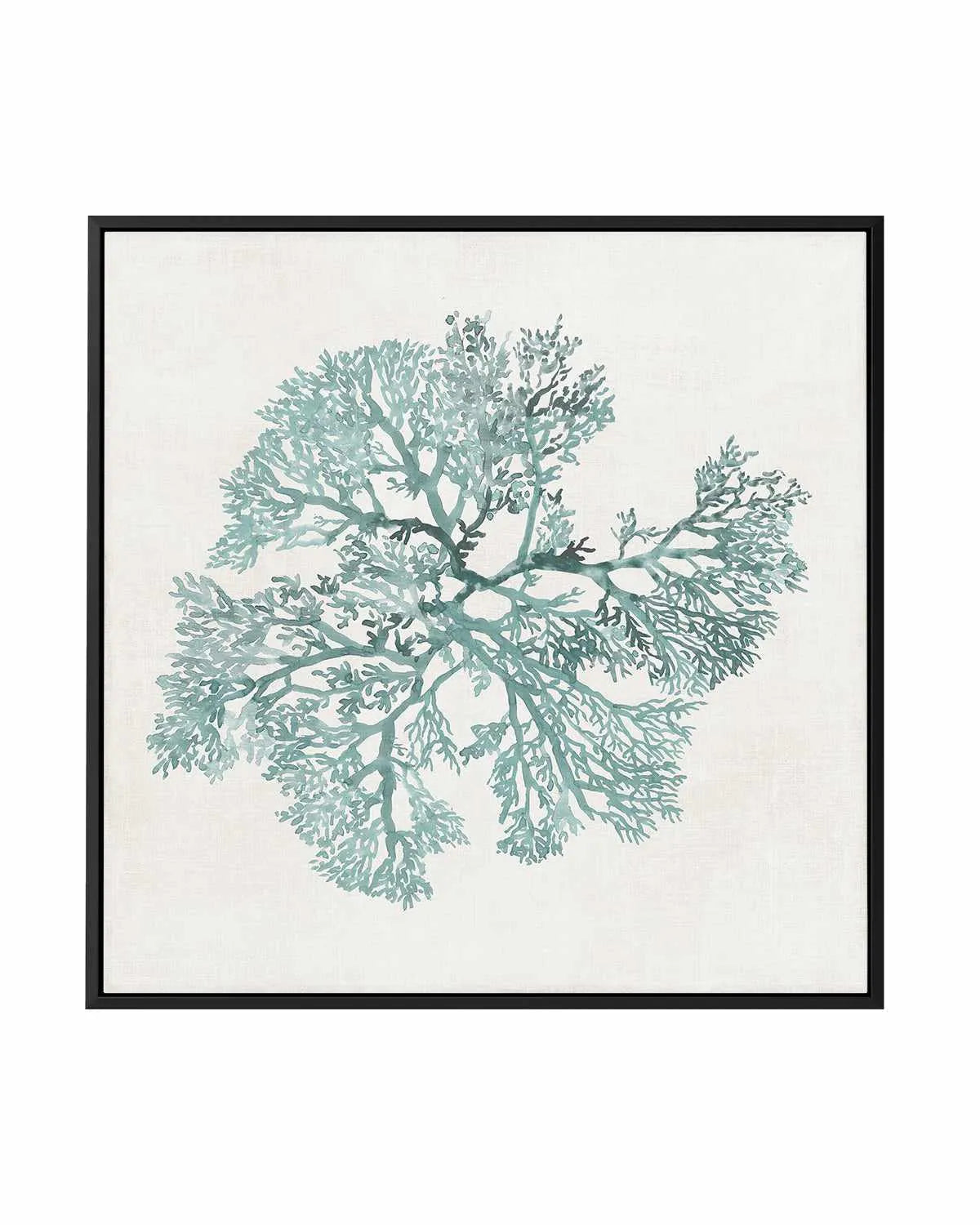 Teal Coral II | Framed Canvas Art Print from Olive et Oriel where you can shop wallpaper and artworks online