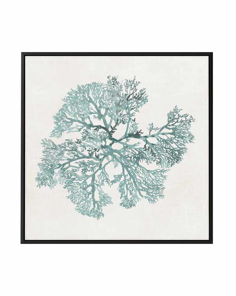 Teal Coral II | Framed Canvas Art Print