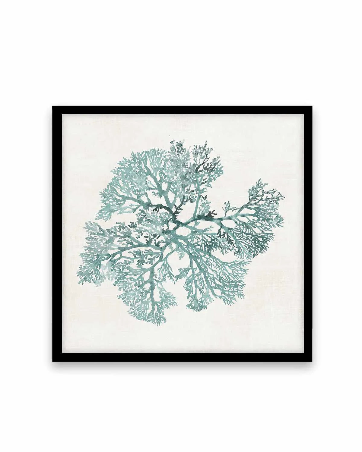 Teal Coral II Art Print from Olive et Oriel where you can shop wallpaper and artworks online