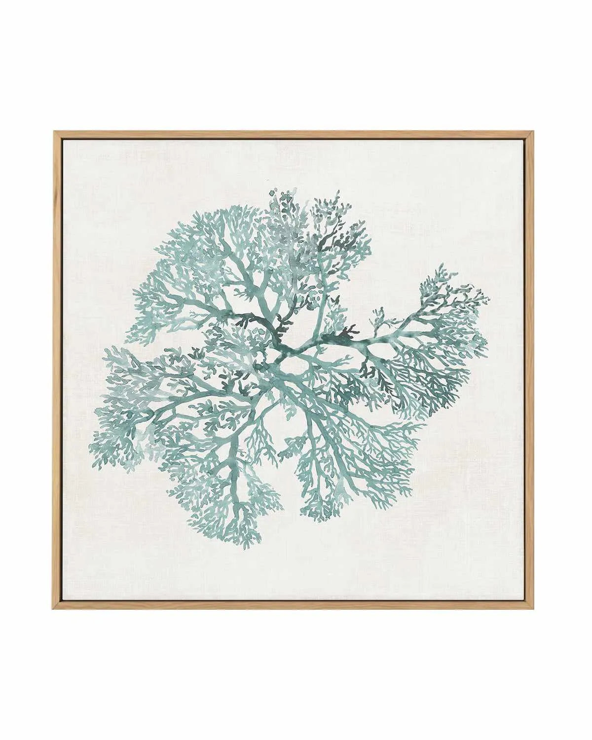 Teal Coral II | Framed Canvas Art Print from Olive et Oriel where you can shop wallpaper and artworks online