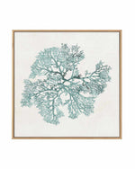 Teal Coral II | Framed Canvas Art Print