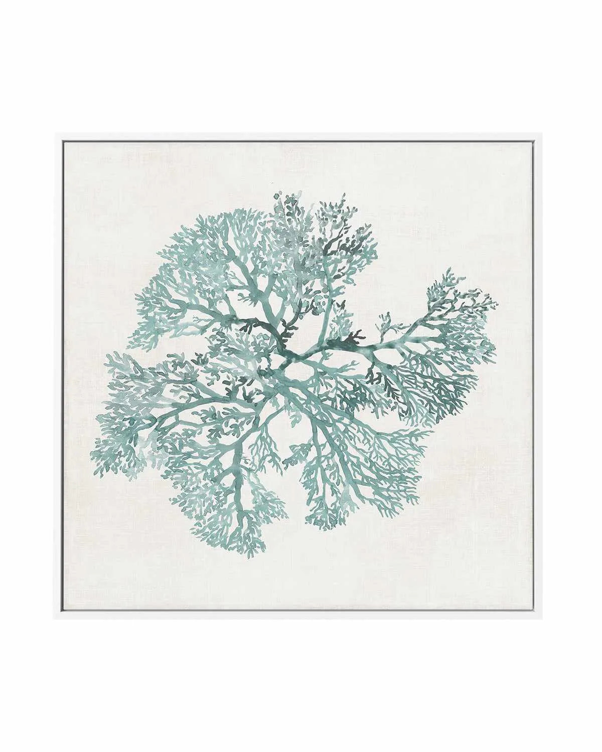 Teal Coral II | Framed Canvas Art Print from Olive et Oriel where you can shop wallpaper and artworks online