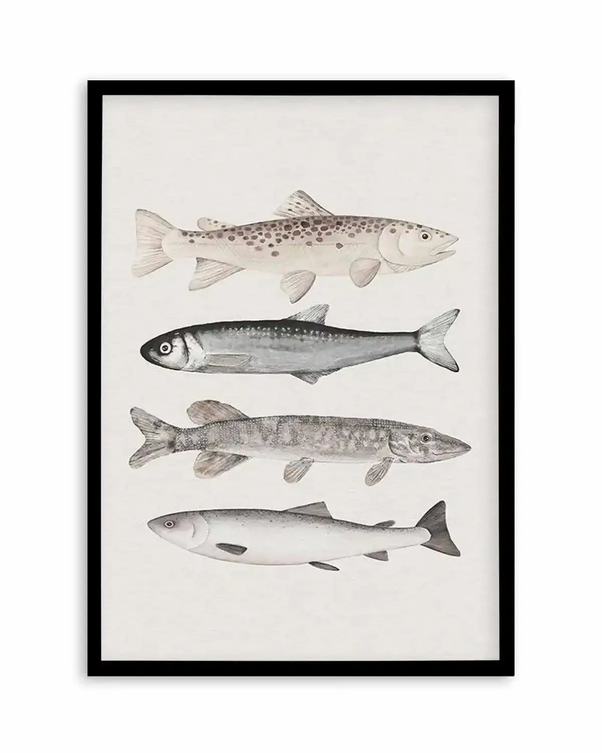 The Catch Art Print from Olive et Oriel where you can shop wallpaper and artworks online