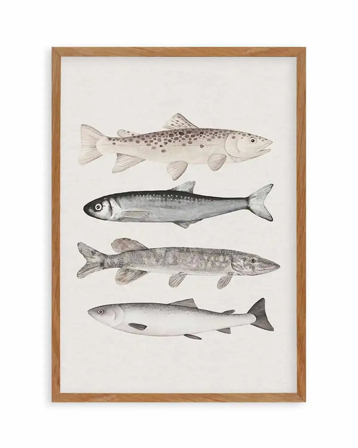 The Catch Art Print from Olive et Oriel where you can shop wallpaper and artworks online