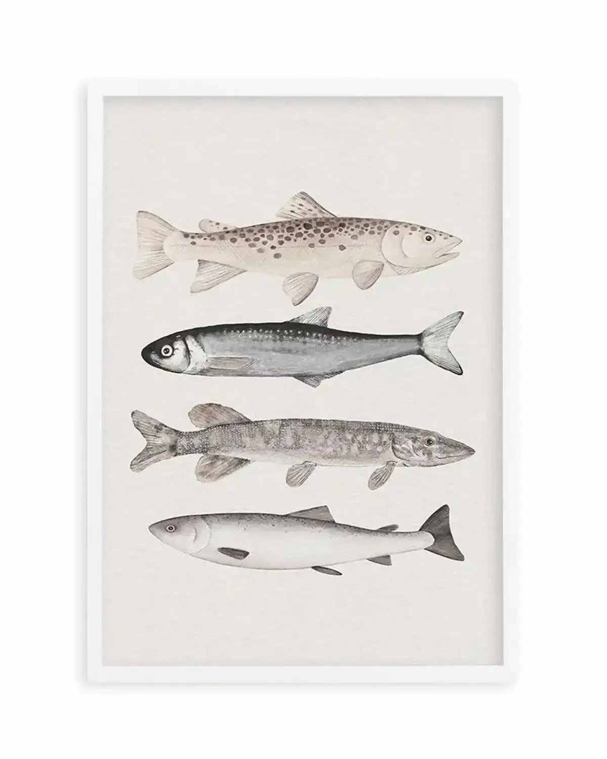 The Catch Art Print from Olive et Oriel where you can shop wallpaper and artworks online