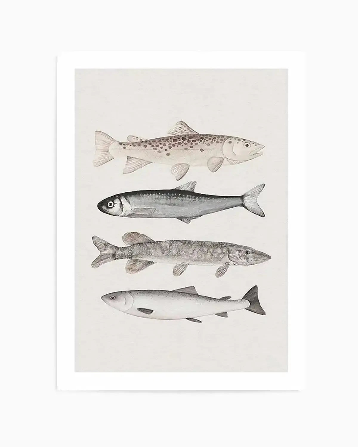 The Catch Art Print from Olive et Oriel where you can shop wallpaper and artworks online