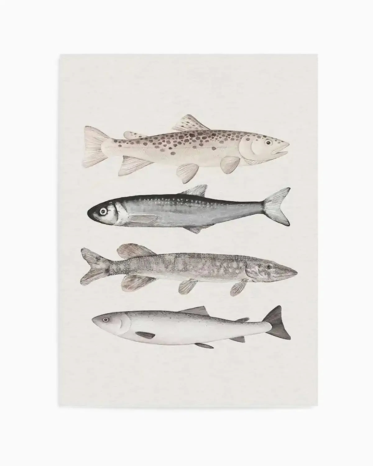 The Catch Art Print from Olive et Oriel where you can shop wallpaper and artworks online
