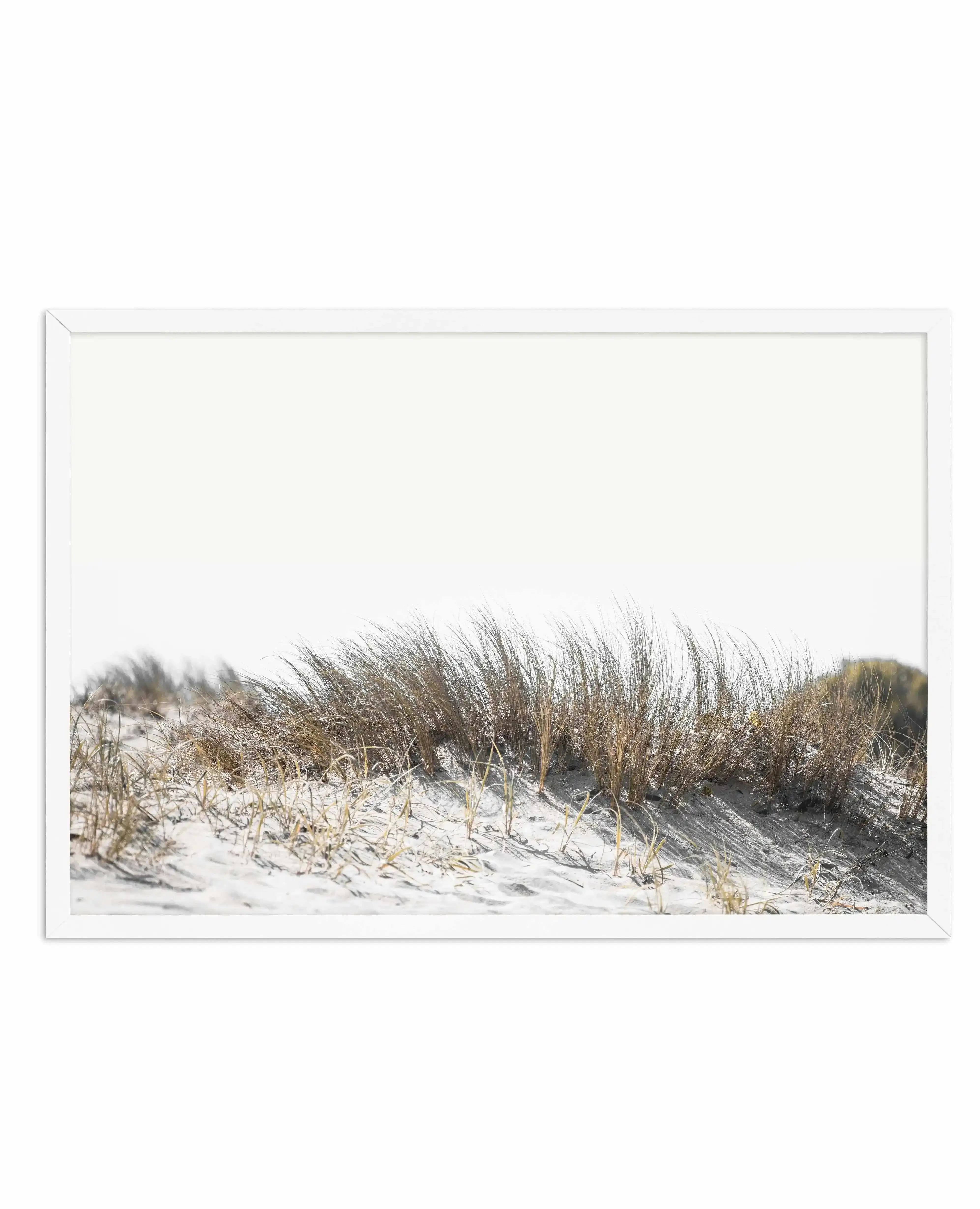 The Coast | LS Art Print-PRINT-Olive et Oriel-Olive et Oriel-A4 | 8.3" x 11.7" | 21 x 29.7cm-White-With White Border-Buy-Australian-Art-Prints-Online-with-Olive-et-Oriel-Your-Artwork-Specialists-Austrailia-Decorate-With-Coastal-Photo-Wall-Art-Prints-From-Our-Beach-House-Artwork-Collection-Fine-Poster-and-Framed-Artwork