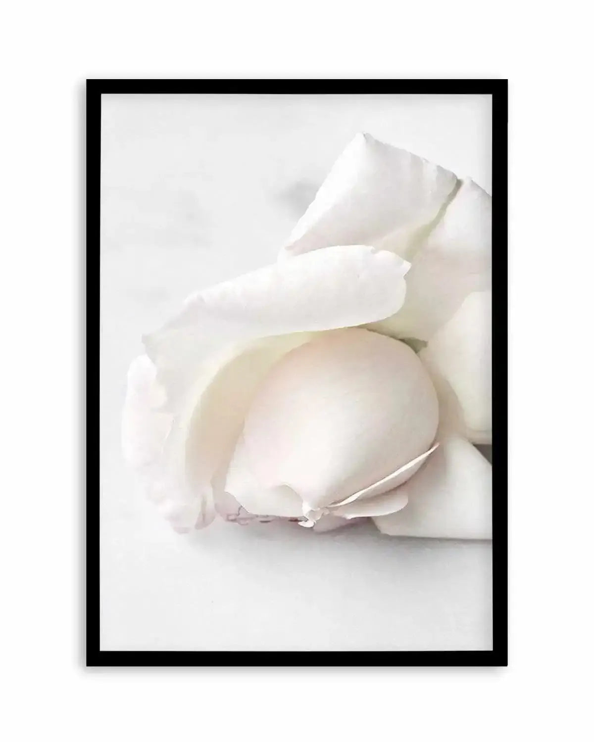 The First Rose Art Print from Olive et Oriel where you can shop wallpaper and artworks online