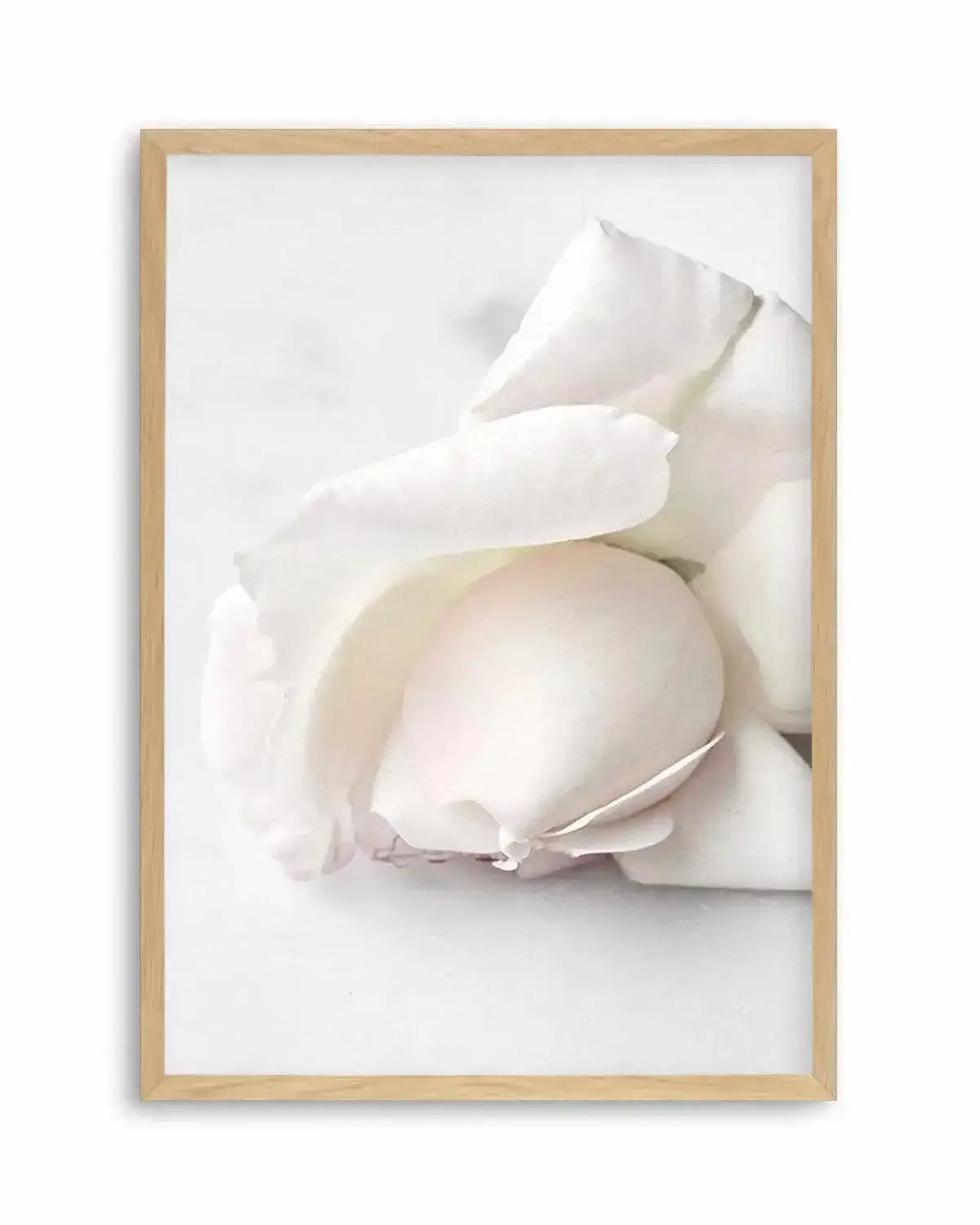 The First Rose Art Print from Olive et Oriel where you can shop wallpaper and artworks online